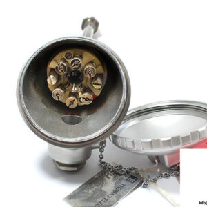 thermo-elecric-2pt100-temperature-sensor-1