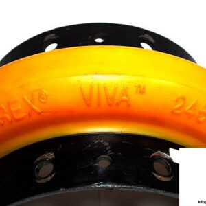 rexnord-viva-vs-245-elastomer-coupling-1