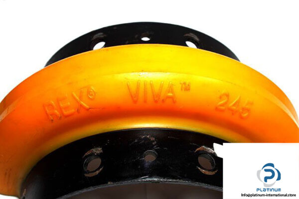 rexnord-viva-vs-245-elastomer-coupling-1