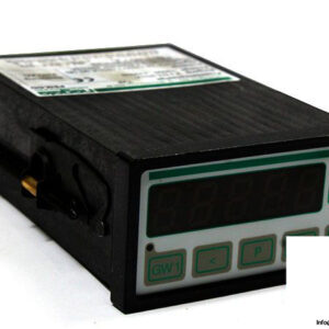 Negele-PEM-DD-processor-module