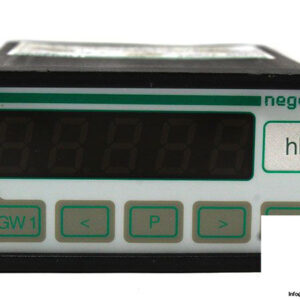 negele-pem-dd-processor-module-1