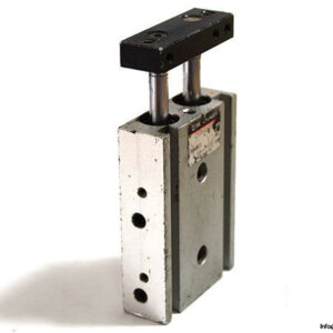 smc-cylinder-CXSM10-10-dual-rod-cylinder