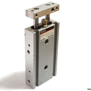 smc-CXSM10-30-dual-rod-cylinder