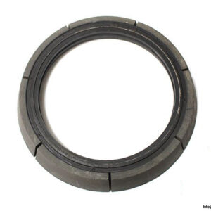 demag-V-084-786-84-brake-ring