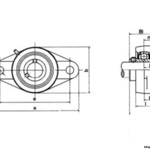 ss-ucfl207-two-bolt-flanged-unit-3