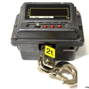 crane-scale-TM-A-2-max-2000-kg