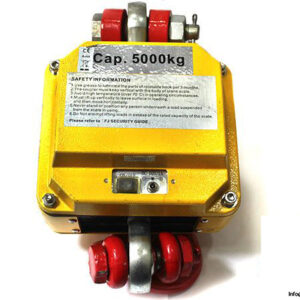 excell-fj2-5-max-5000-kg-crane-scale-2