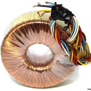 ri.p.em.srl-100-VA-50-60-HZ-COD.ELVECO-transformer