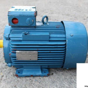 FELTEN-GUILLEAUME-EED-132SX2-EXPLOSION-PROOF-MOTOR_675x450.jpg