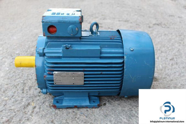 FELTEN-GUILLEAUME-EED-132SX2-EXPLOSION-PROOF-MOTOR_675x450.jpg