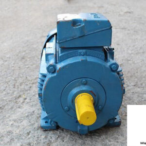 FELTEN-GUILLEAUME-EED-132SX2-EXPLOSION-PROOF-MOTOR3_675x450.jpg