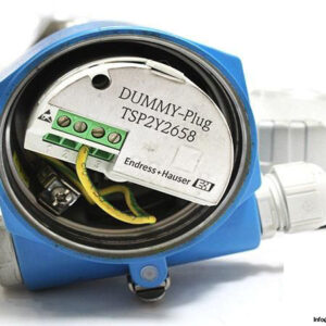 ENDRESS-HAUSER-FTI77-A1AYYRVJY3A1A-POINT-LEVEL-SWITCH3_675x450.jpg