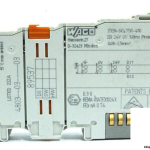 WAGO-750-410-2-CHANNEL-DIGITAL-INPUT4_675x450.jpg