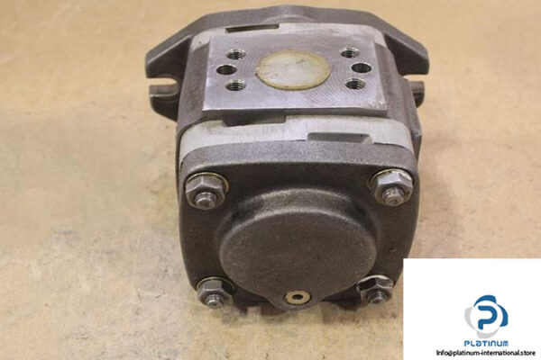 REXROTH-R900523370-INTERNAL-GEAR-PUMP-FIXED-DISPLACEMENT4_675x450.jpg