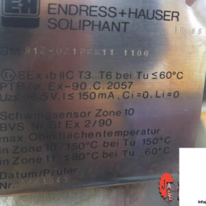 ENDRESS-HAUSER-DM-91ZUZ1PFK11-POINT-LEVEL-DETECTION7_675x450.jpg