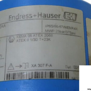 ENDRESS-HAUSER-FTM50-4GG2AAA12AA-Point-Level-Detection6_675x450.jpg