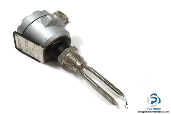 Endress-Hauser-Liquiphant-DL-17-Z-Sensor_675x450.jpg