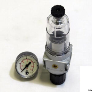 Riegler-Filter-regulator4_675x450.jpg