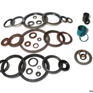 Oil_Seals_Bulk