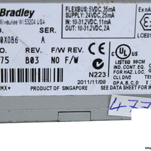 allen-bradley-1794-IB10X0B6-output-digital-module-(used)-2