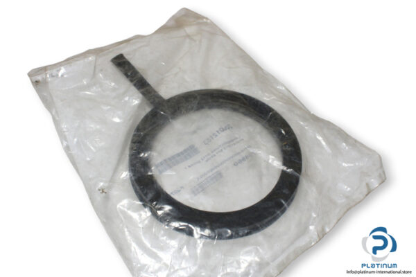 300012153-gasket-snap-ring-de-dietrich-new