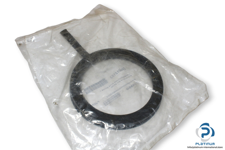 300012153-gasket-snap-ring-de-dietrich-new