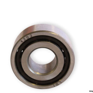 ldi-4202-double-row-deep-groove-ball-bearing-1