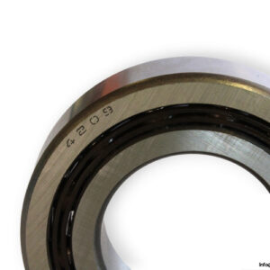 cfc-4209-double-row-deep-groove-ball-bearing-1