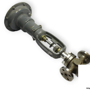 regolazioni-v2829-control-valve_Used