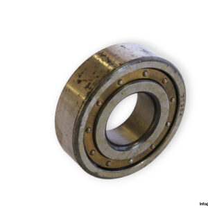 20204M-barrel-roller-bearing