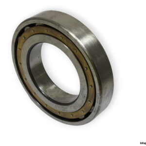 fag-20219-M-barrel-roller-bearing