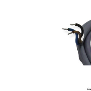 asa-sm-10-t26r-u-micro-switch-1