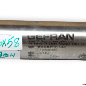 gefran-WE0-6-M-P75C-1-4-0-oil-filled-melt-pressure-transmitter-2