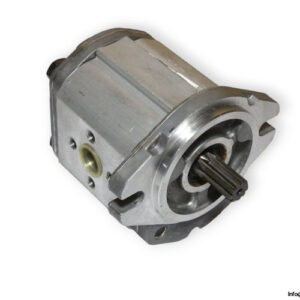 marzocchi-ALP2A-D-25-S1-E-gear-pump-(used)