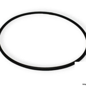 rolls-royce-SP-109970-o-ring-(new)-1