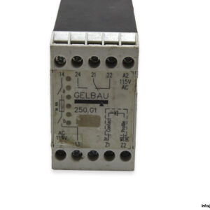 gelbau-250-01-safety-relay-1