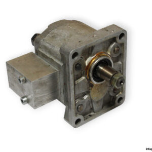 woerner-ZB2.110-gear-pump-used