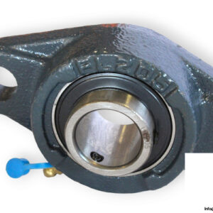 UCFL-205-oval-flange-ball-bearing-unit-(new)-1