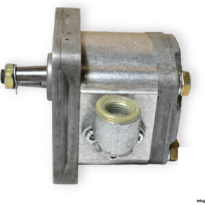 woerner-2.083_P-gear-pump-(used)-1