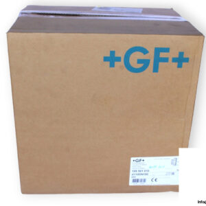 gf-169-561-010-check-valve-(new)-1