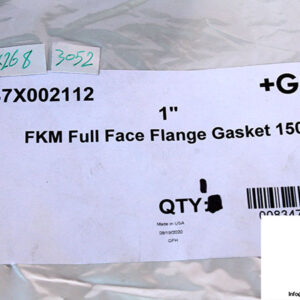 gf-37X002112-fkm-full-face-flange-gasket-150-new-2