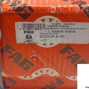 fag-nj2319-e-m1-c3-cylindrical-roller-bearing-1