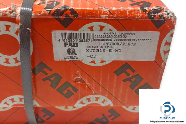 fag-nj2319-e-m1-c3-cylindrical-roller-bearing-1