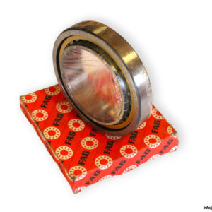 fag-NU1019M1.P52-cylindrical-roller-bearing-with-extended-inner-ring-(new)-(carton)