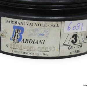 bardiani-08-17A-control-valve-(used)-1