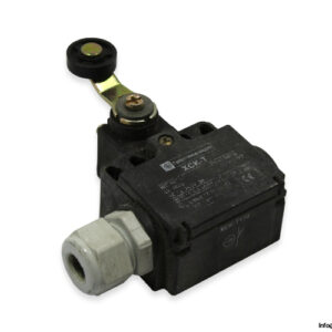 telemecanique-XCK-T118-limit-switch