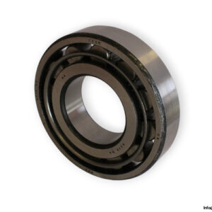 zkl-N-313-cylindrical-roller-bearing-(new)