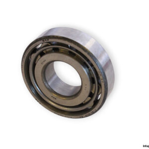 skf-N-306-cylindrical-roller-bearing-(new)