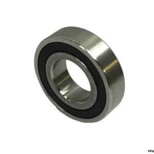 S6206-2RS-deep-groove-ball-bearing-(new)