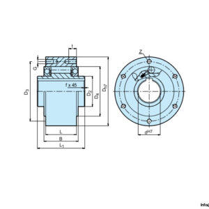stieber-GFR-55C-freewheel-clutch-bearing-(used)-4